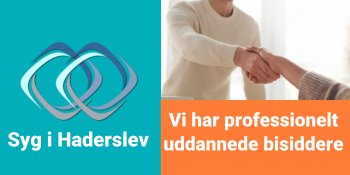 Bisidder